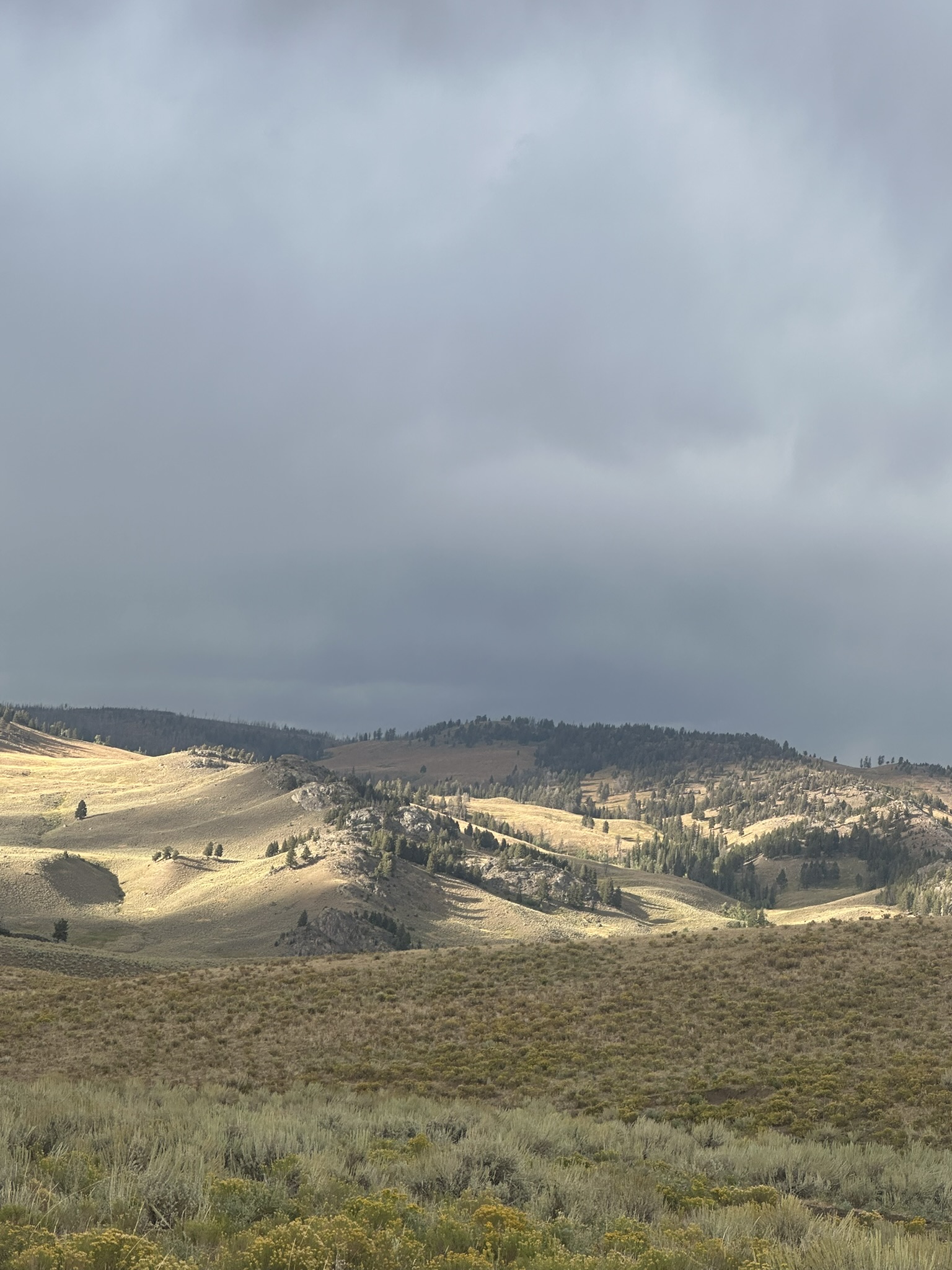 Yellowstone And Grand Teton National Parks - Image 1091